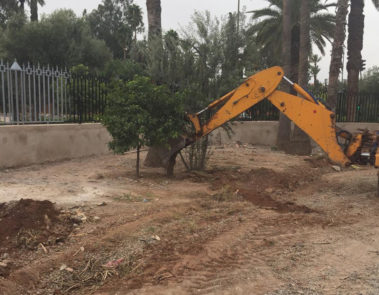 Espace Verte de la Direction Régionale de Jeunes