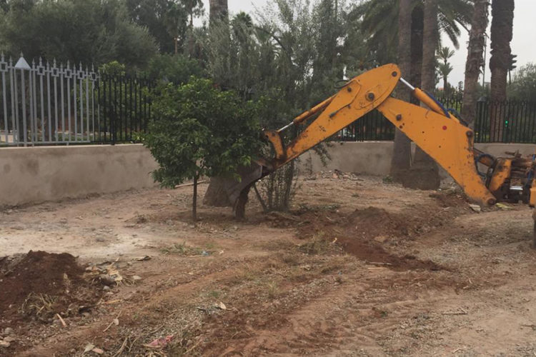 Espace Verte de la Direction Régionale de Jeunes