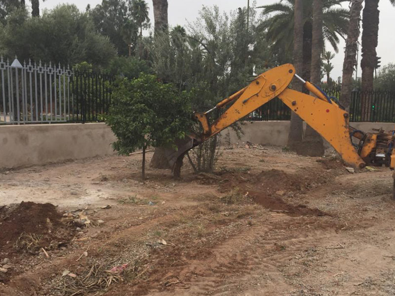 Espace Verte de la Direction Régionale de Jeunes